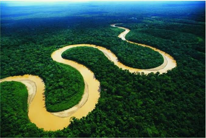 Iquitos Cumaceba Amazon Lodge 4D3N: Iquitos, photo 2