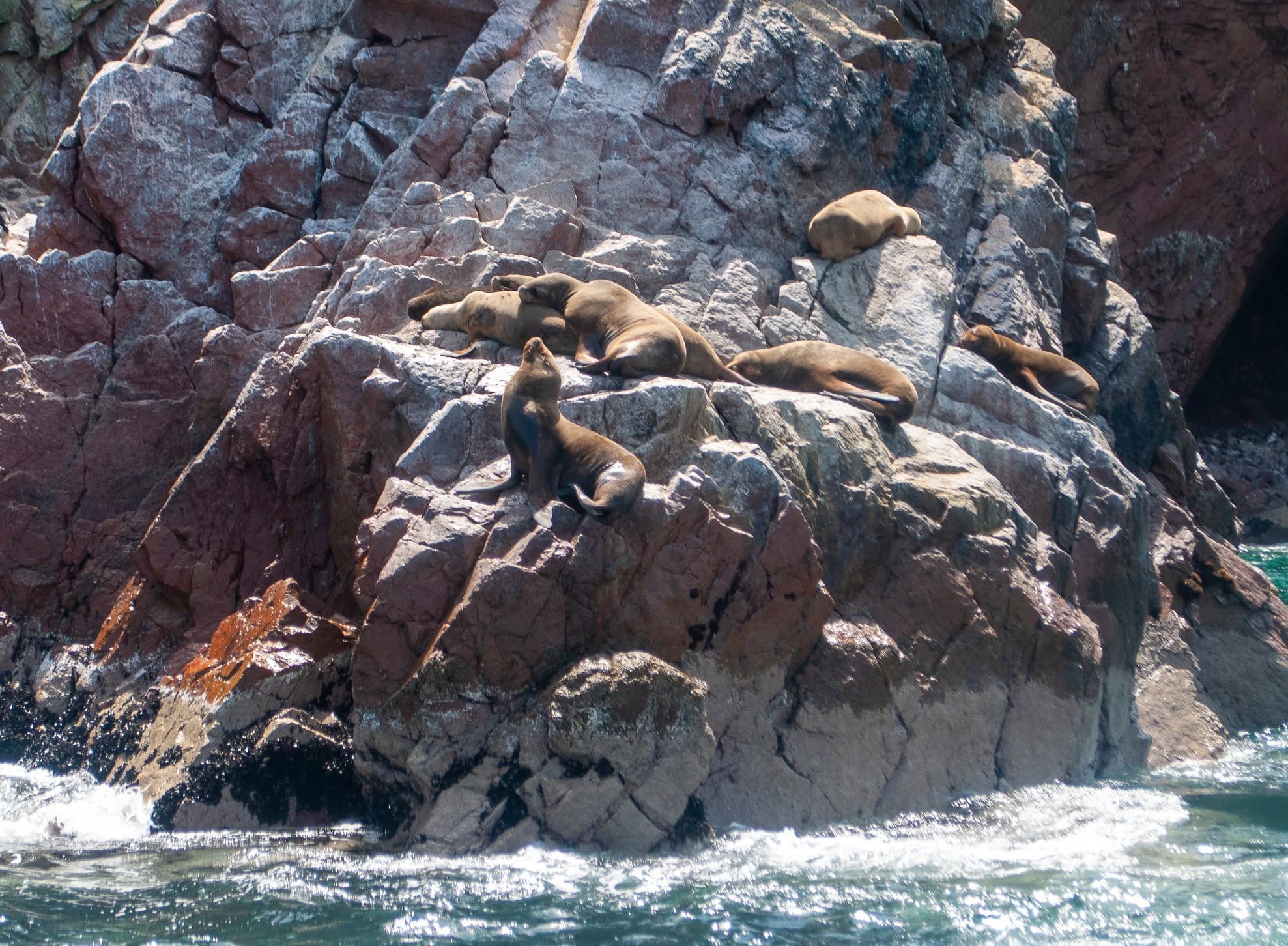 ICA CON ISLAS 3D2N: Ica, foto 1